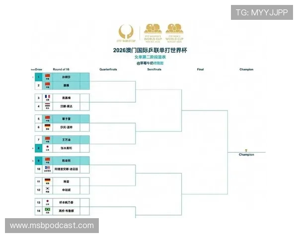 中央体育CCTV5直播全新全景解析赛事热点与观赛指南